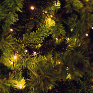 Trees and Wreaths