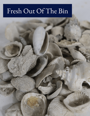 Medium Washed Shell - Bulk