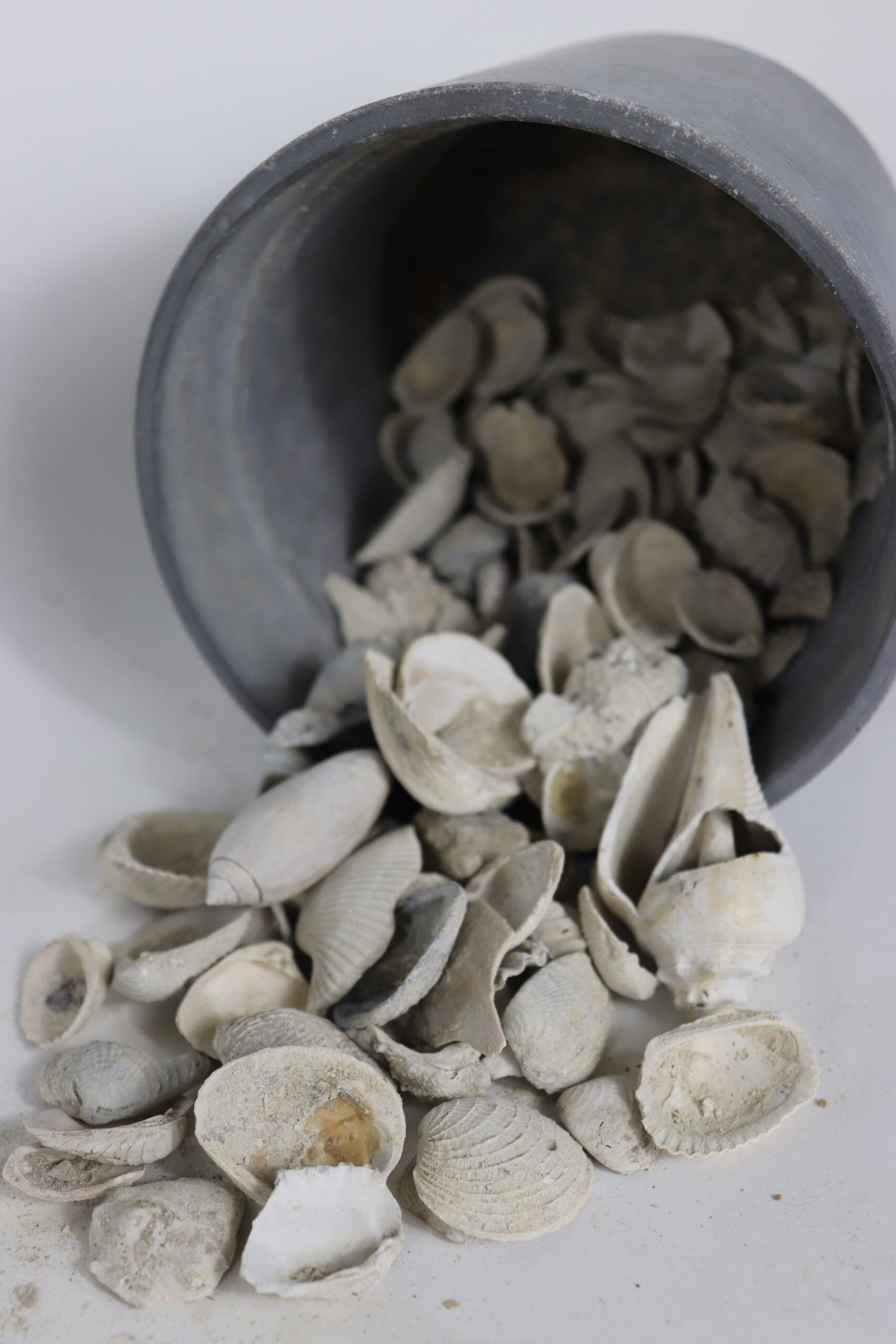 Medium Washed Shell - Bulk