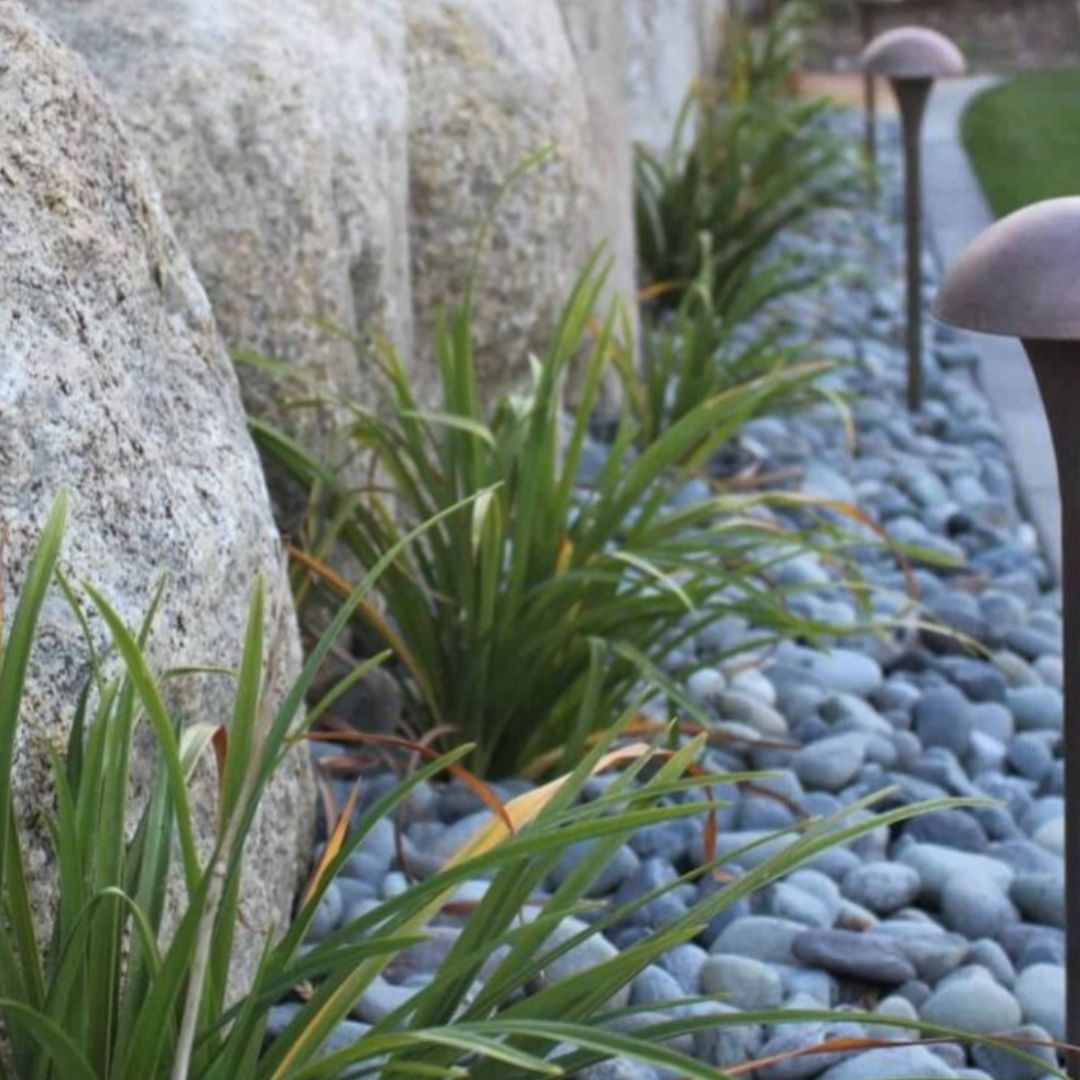 Mexican Beach Pebble