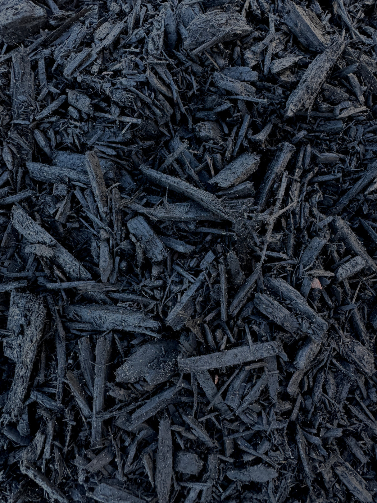 Absolute Black Mulch