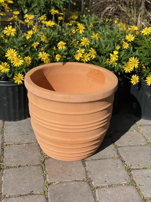 Clay Orbit Pot