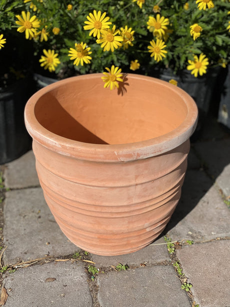 Clay Orbit Pot