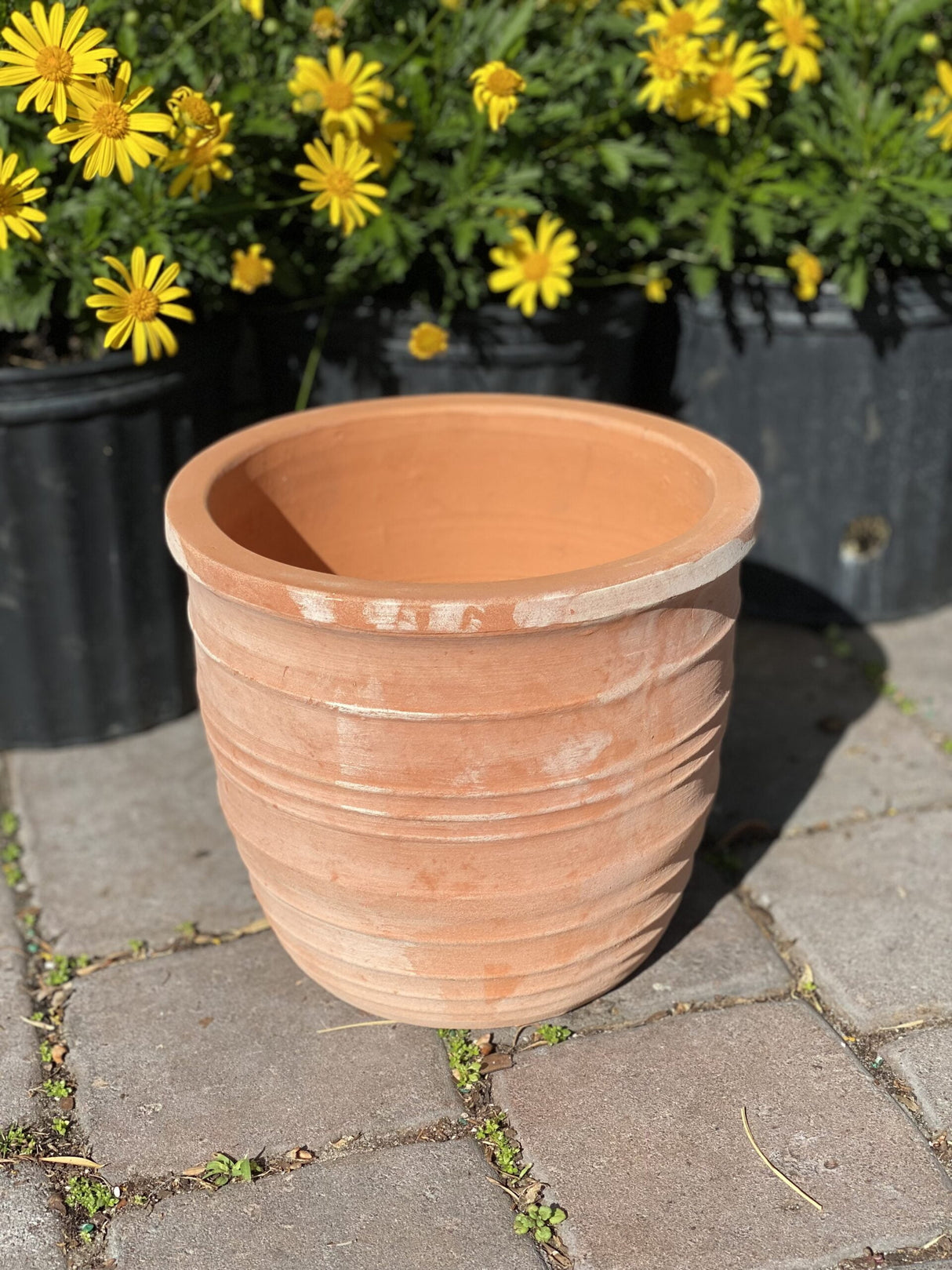 Clay Orbit Pot