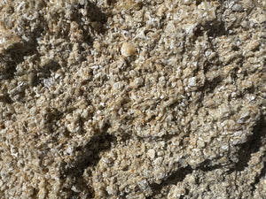Close-up of textured sand with small stones and shells