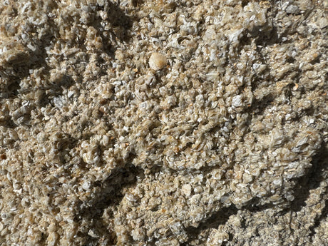 Close-up of textured sand with small stones and shells