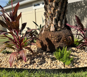 Garden with plants, rocks, and pebbles in front of a house.