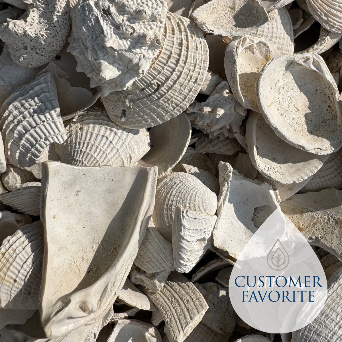 Medium Washed Shell – Liberty Landscape Supply