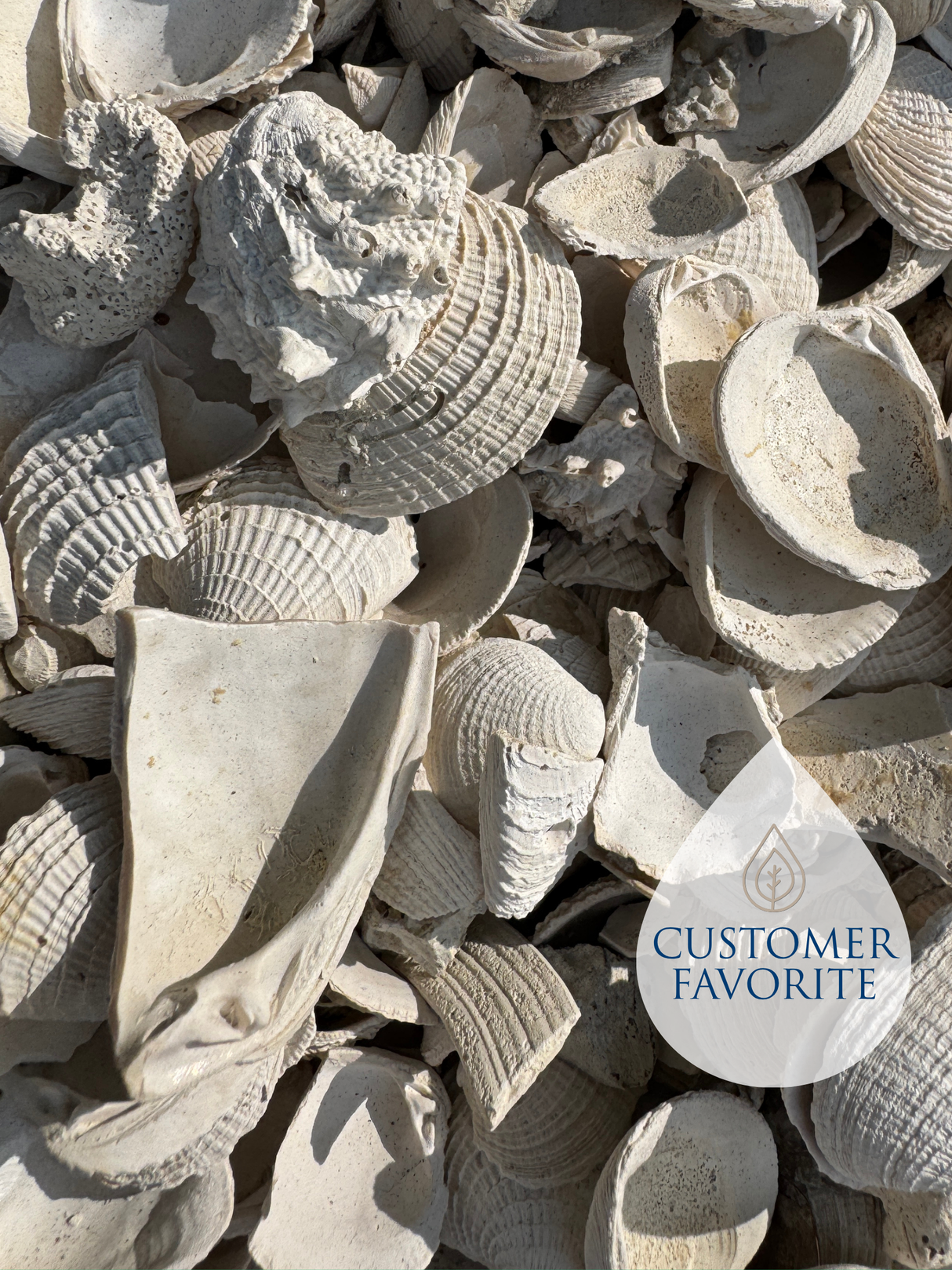 Medium Washed Shell
