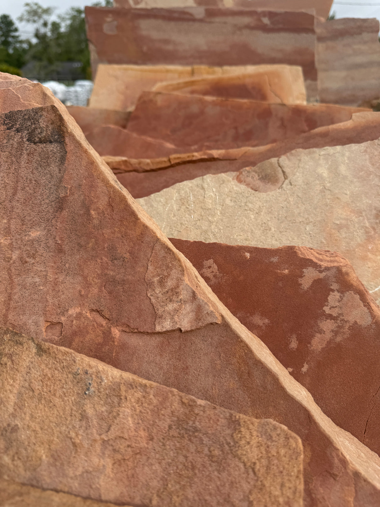 Dusty Rose Irregular Flagstone