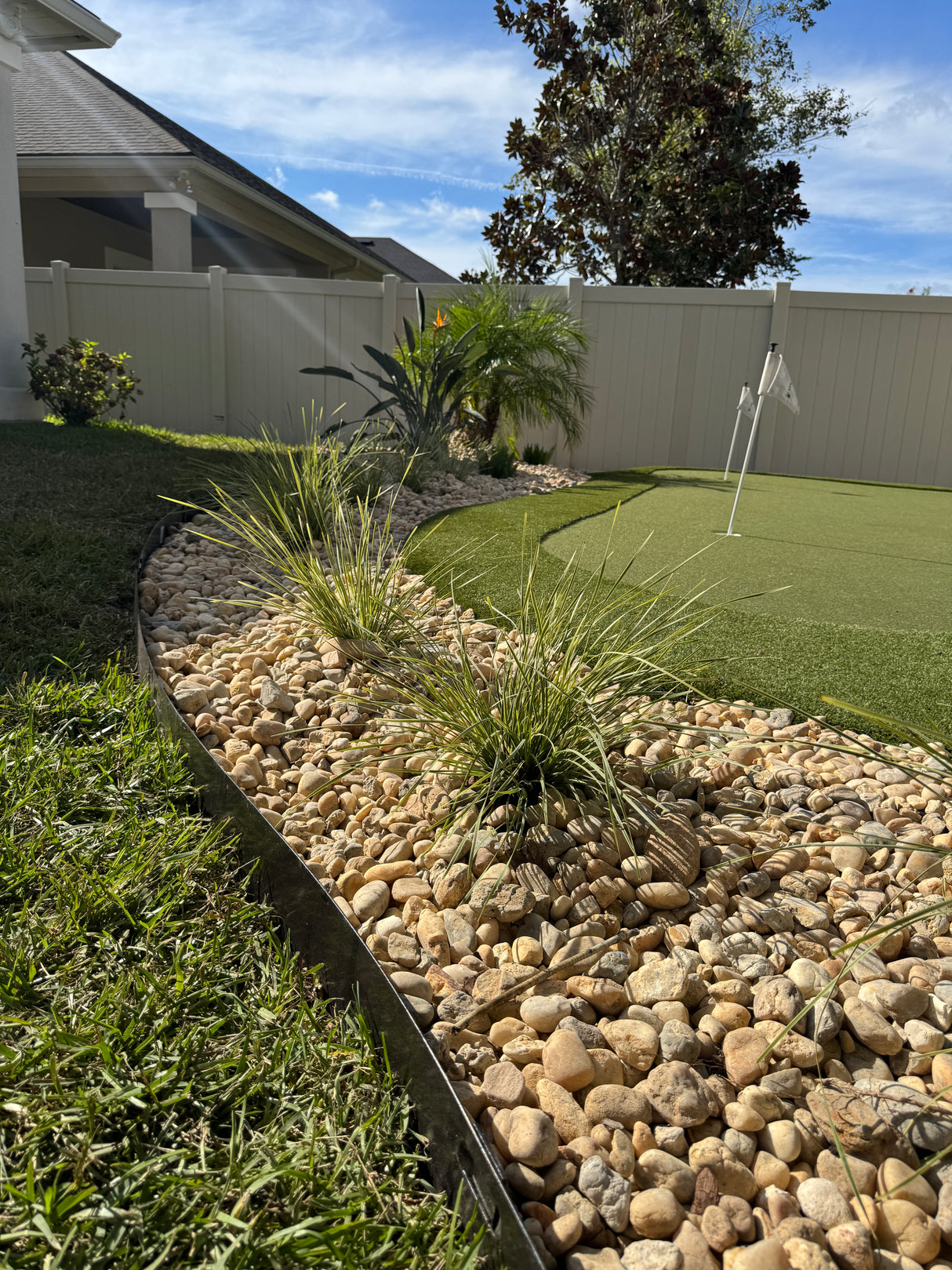 Rocks and plants in a garden area with a building in the background