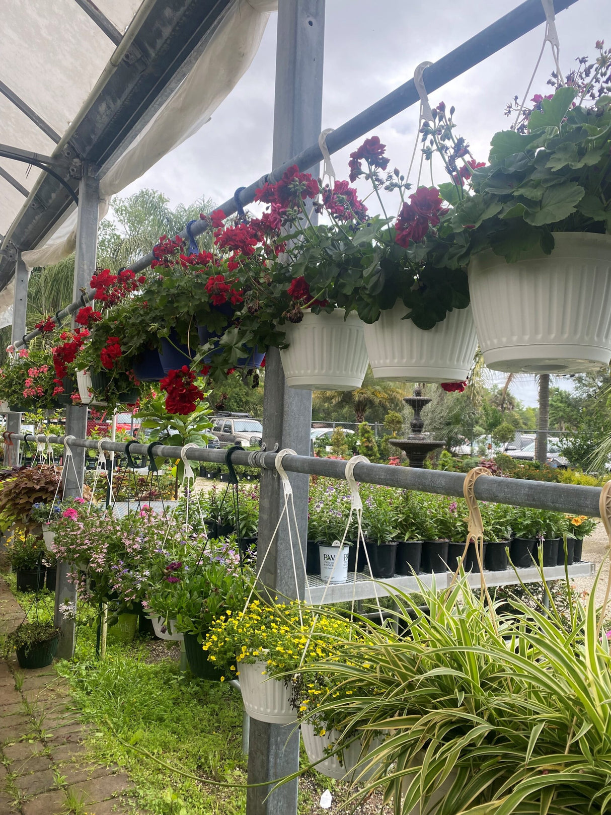 Hanging Baskets
