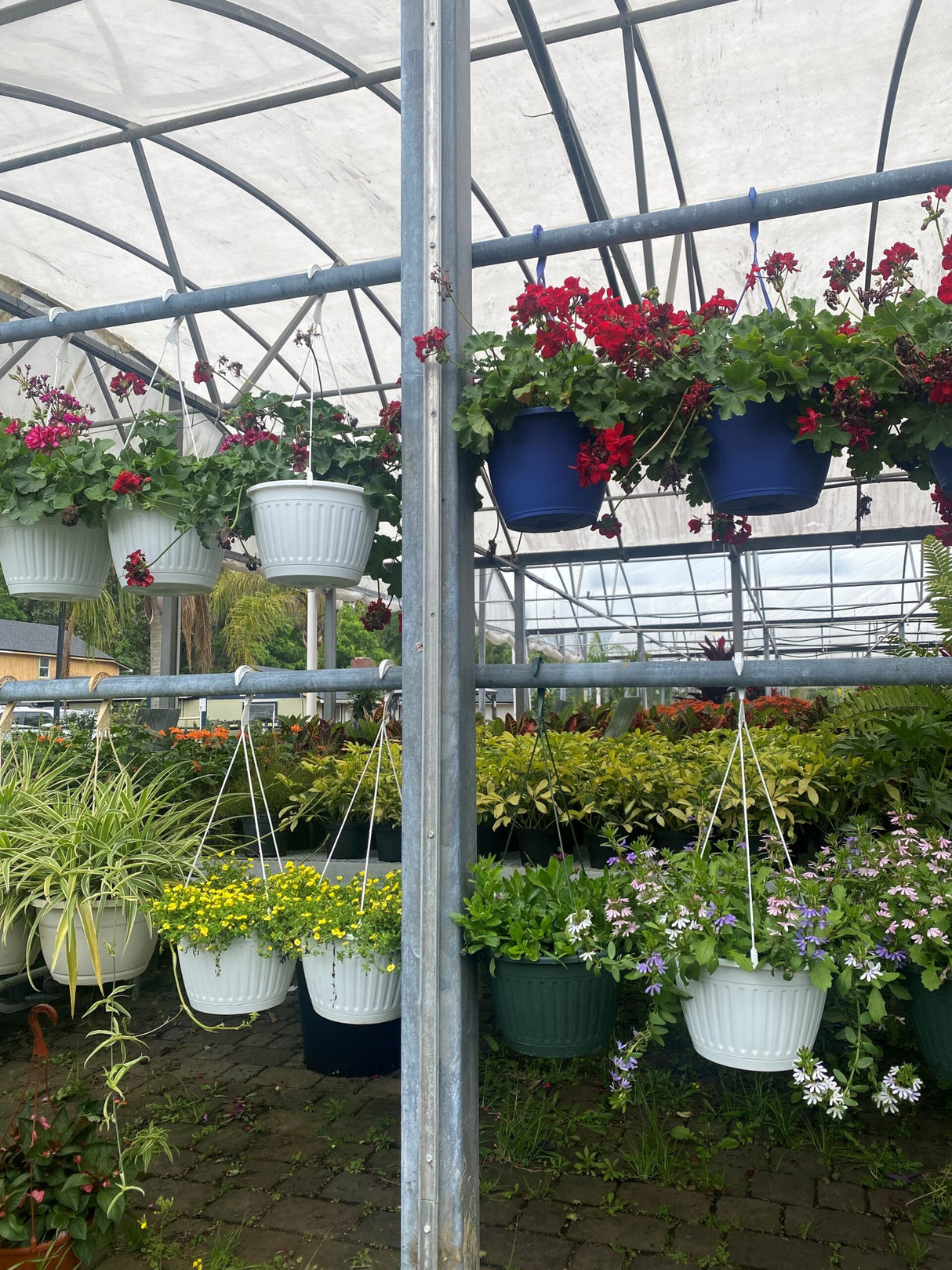 Hanging Baskets