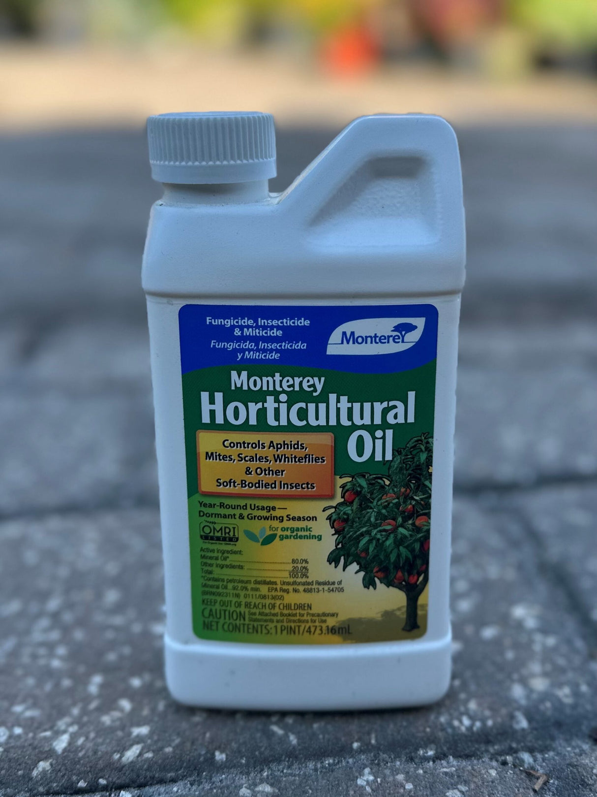 Horticultural Oil Concentrate