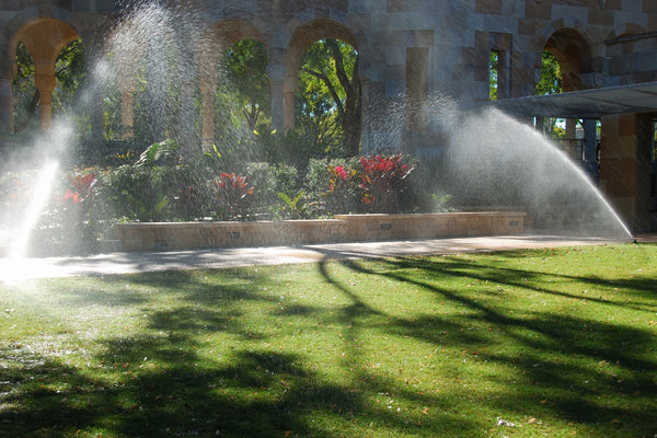 Fountain spraying water in a garden setting with green grass and plants.