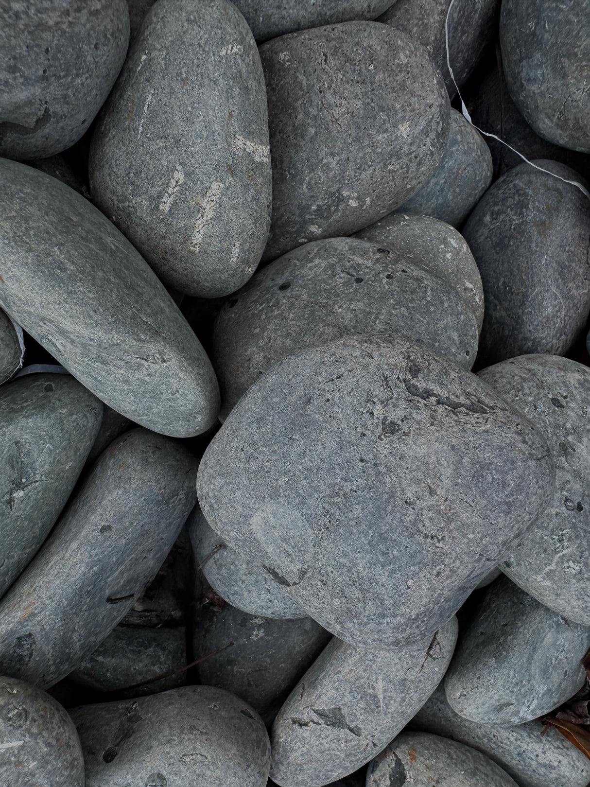 Close-up of gray stones with a focus on texture and color.