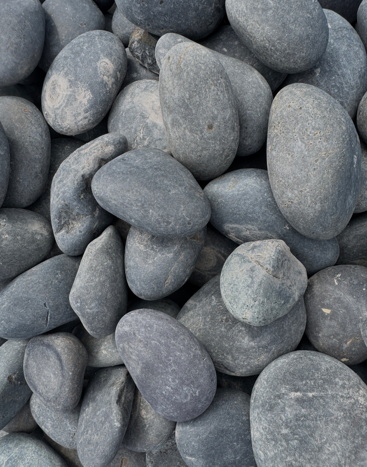 Close-up of gray Mexican Beach Pebble