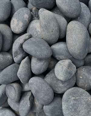 Close-up of gray Mexican Beach Pebble