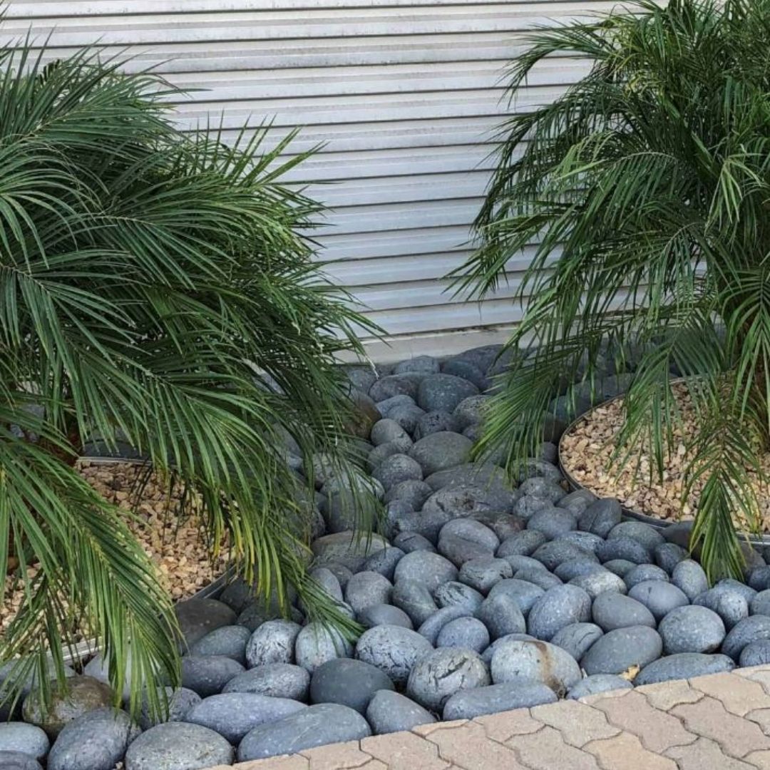 large Mexican Beach Pebble in landscape