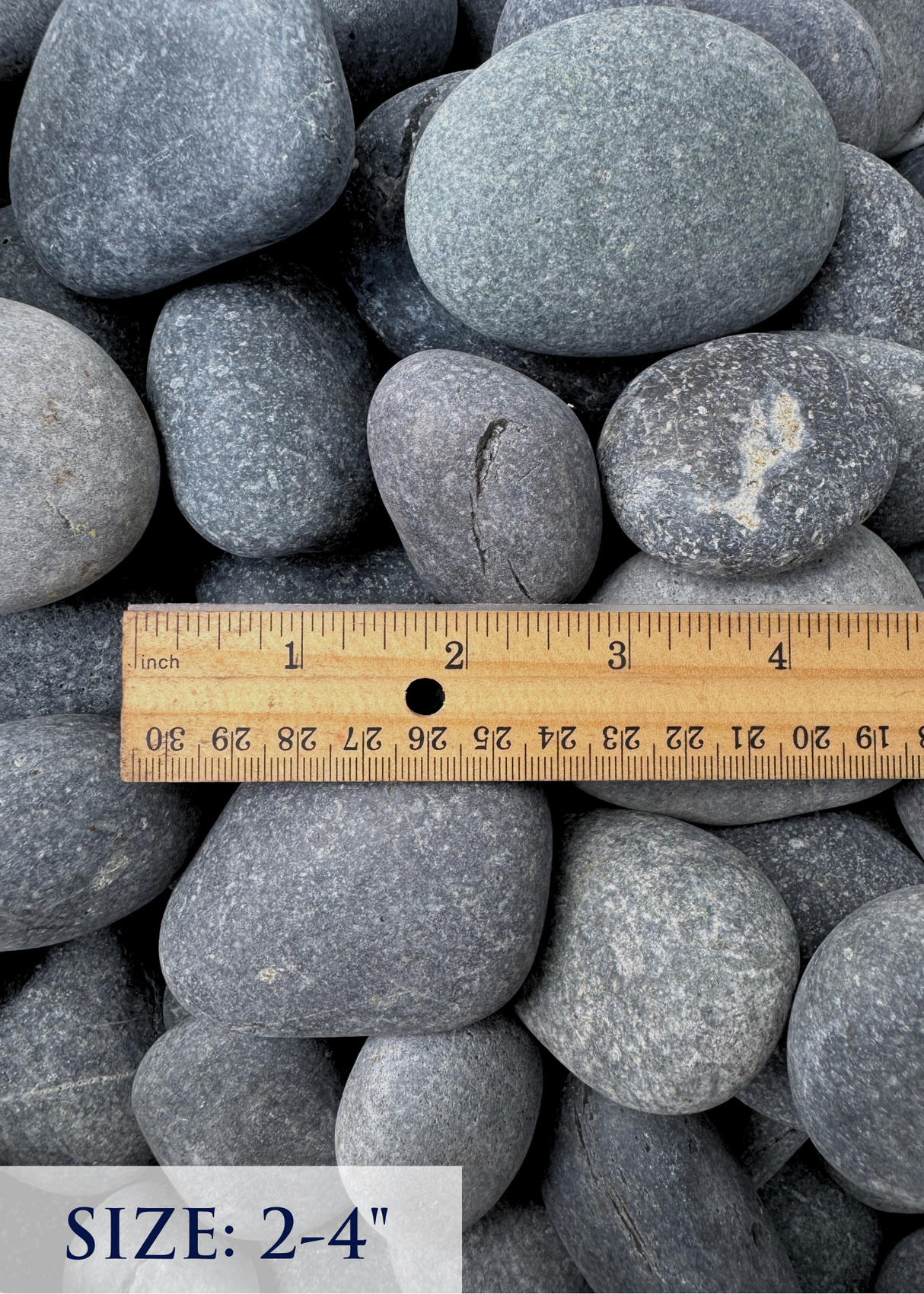 Gray pebbles with a ruler indicating size 2-4 inches