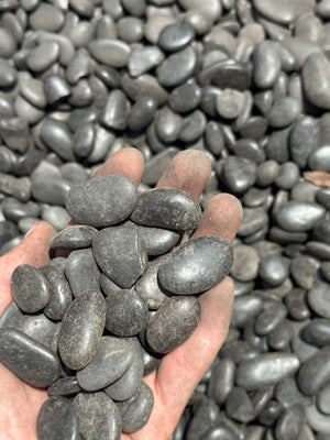 dark Mexican Beach Pebble compared to hand