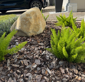 Decorative garden with large rock, small shrubs, and mulch in front of a house.