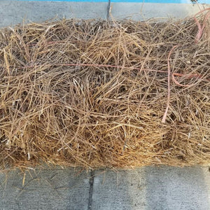 Pine Straw-bale