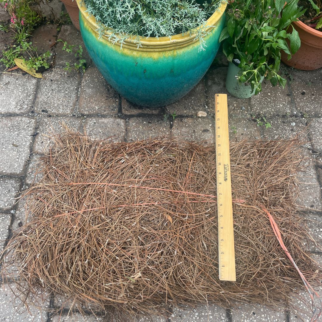 Pine Straw-bale