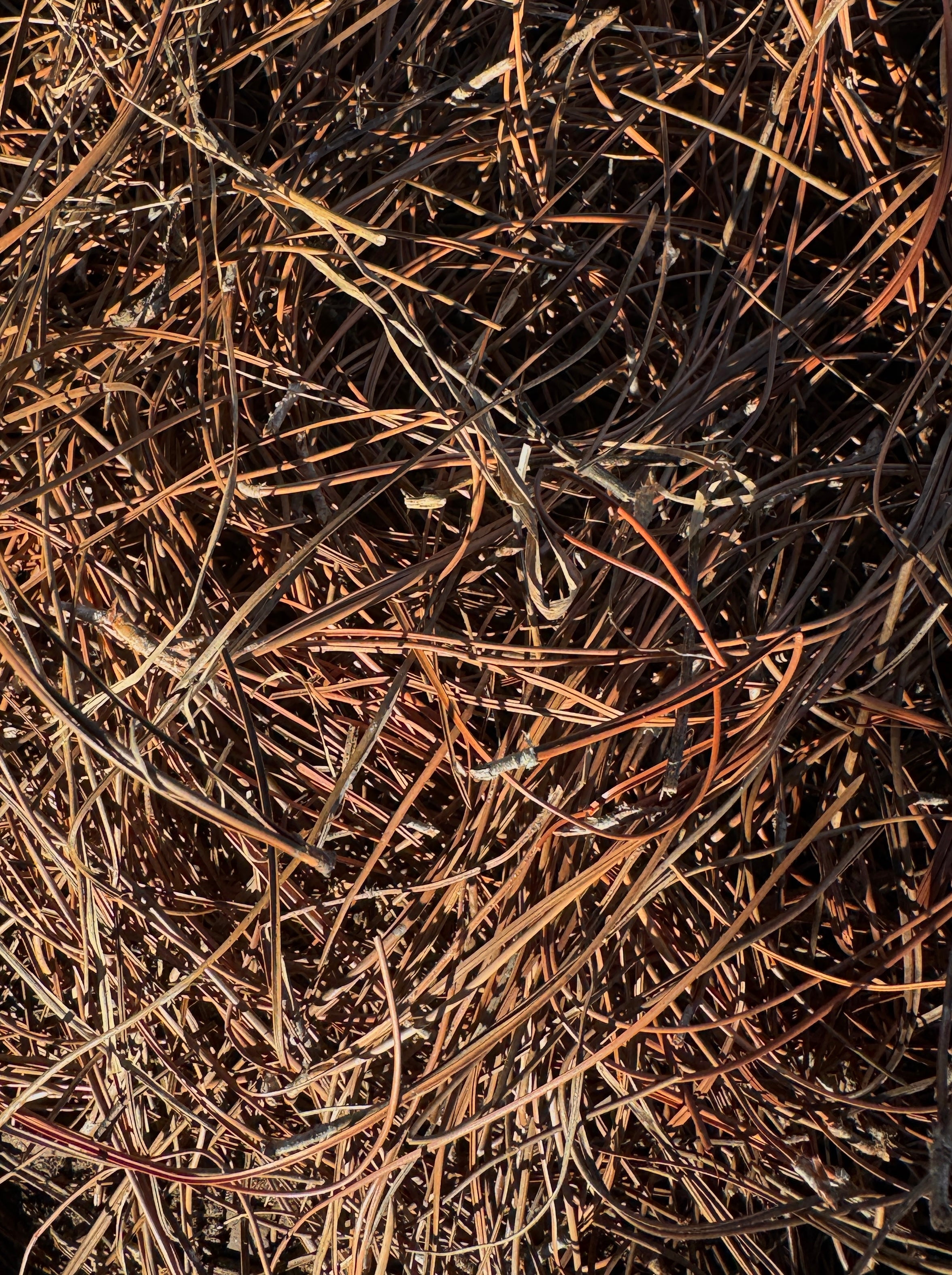 Pine Straw | Mulch/Soil | Liberty Landscape Supply