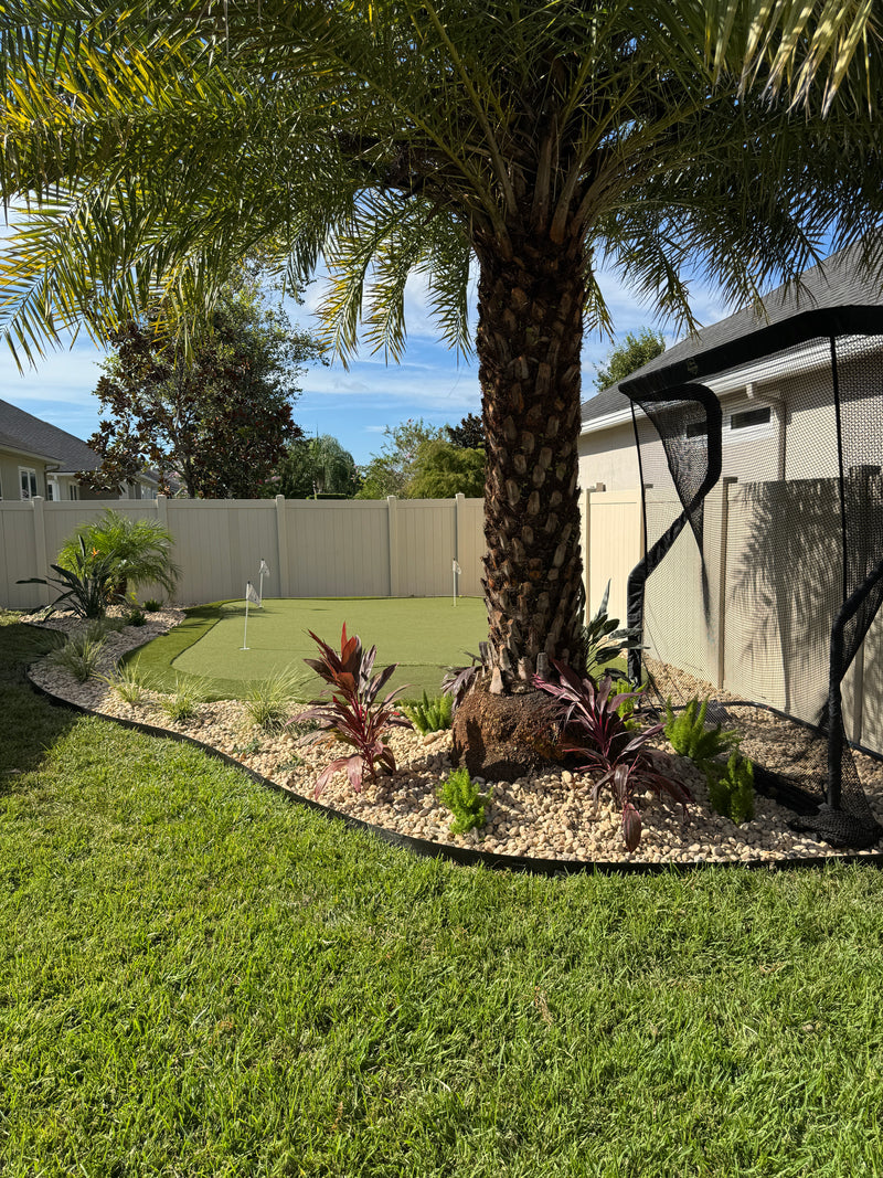landscape design with lush green palm tree, plants, and river rock