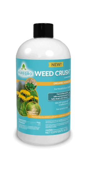 Weed Crush