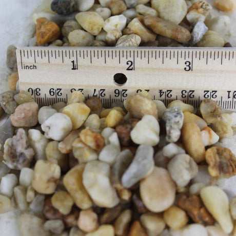 white pea gravel compared to ruler