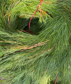 Close-up of a green garland with red string