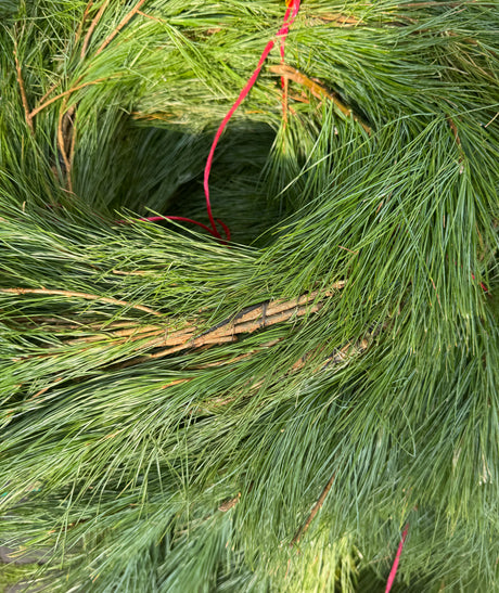 Close-up of a green garland with red string
