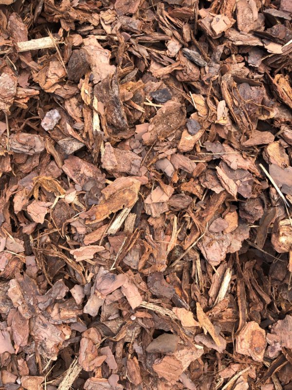 pine bark mulch