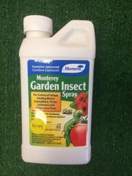 Garden Insect Spray Concentrate Pint