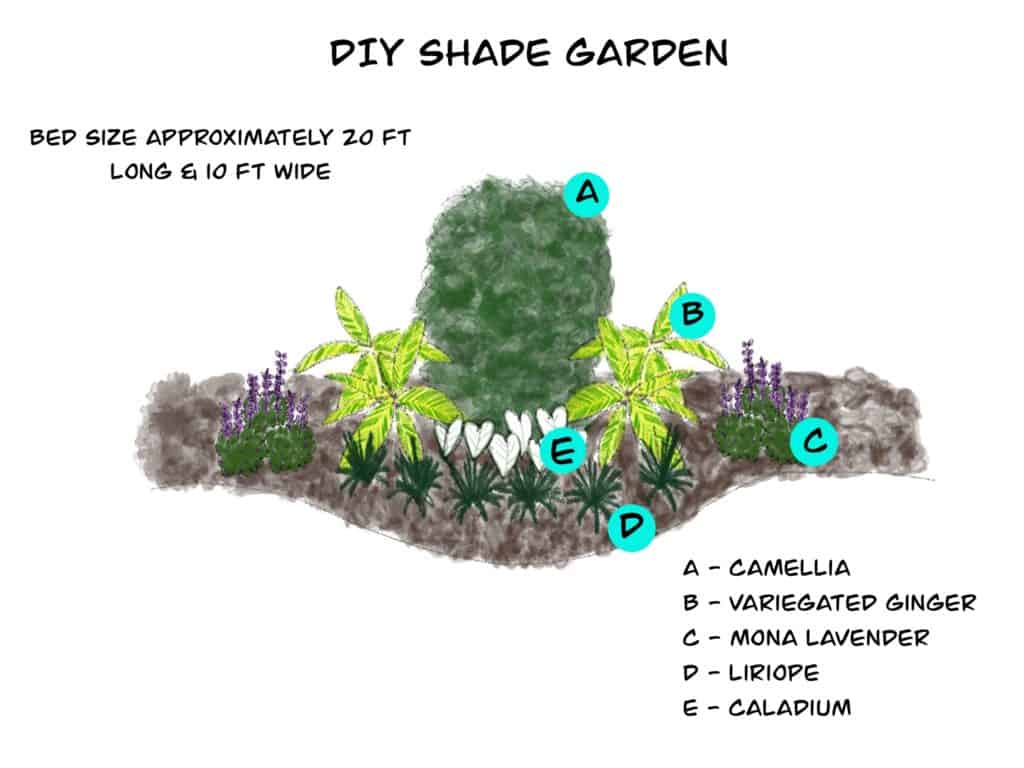 Diy Shade Garden 