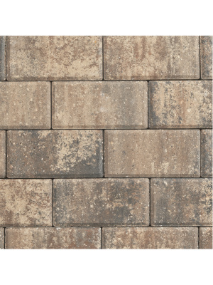 tremron brick paver sierra